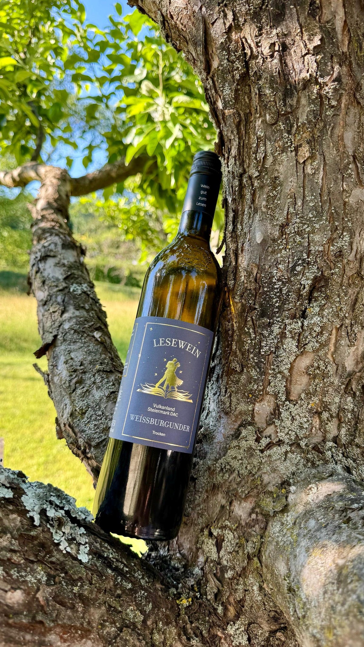 Lesewein | Flasche Weißwein - Der Geschmack von Geschichten in Kooperation mit Posch. Wein gut zum Lesen