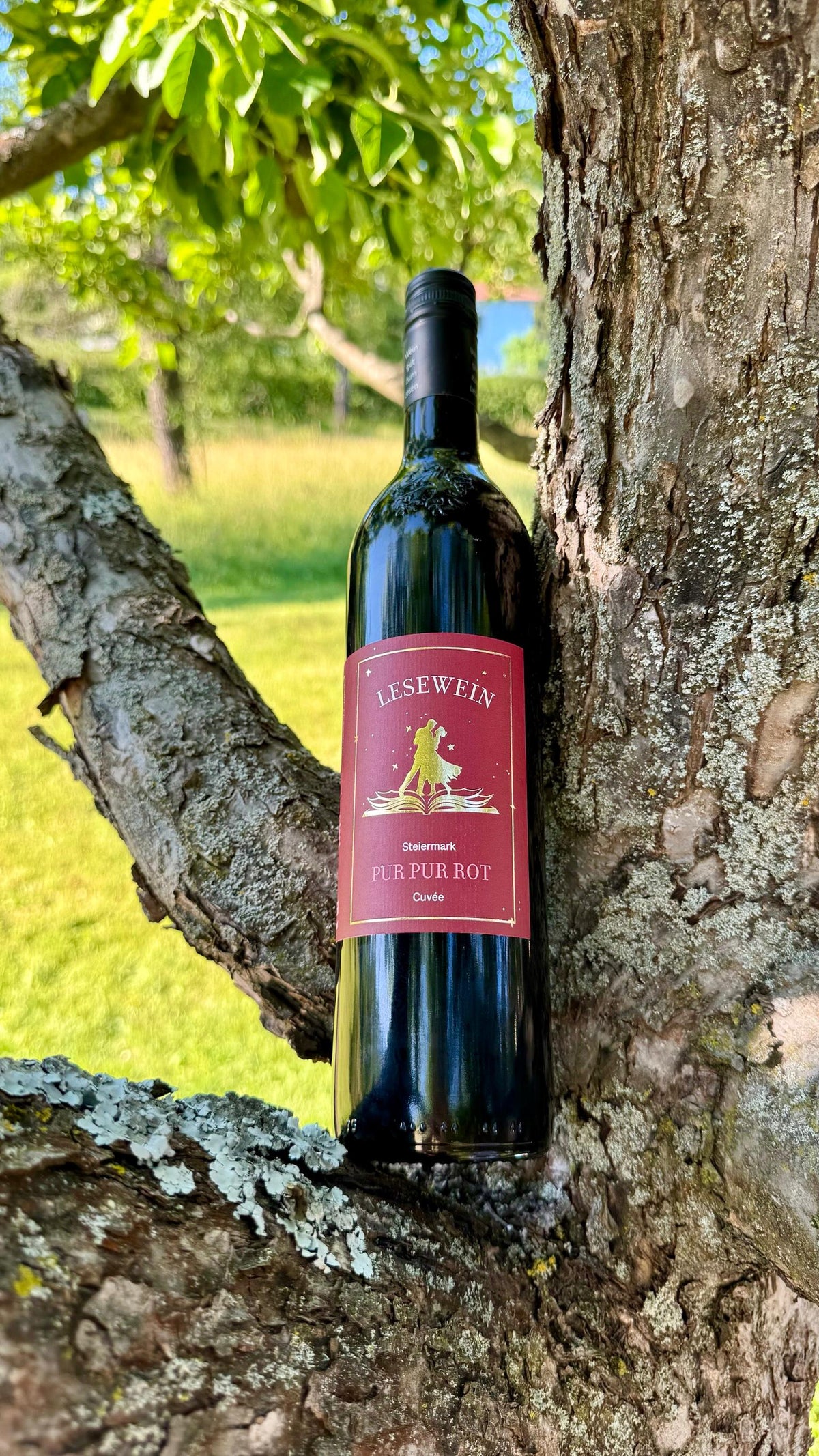 Lesewein | Flasche Rotwein - Der Geschmack von Geschichten in Kooperation mit Posch. Wein gut zum Lesen